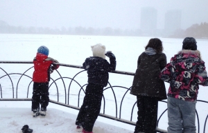 A snowy trip to the look out platform at Grenadier Pond.